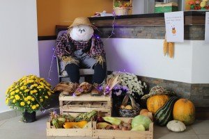 Obeležavanje Dana starih u Domu "Auxilium BB"