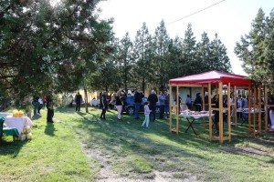 Pogačijada 2021 u Ljutovu