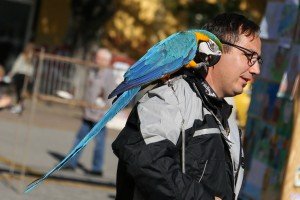 Izložba crteža povodom Svetskog dana životinja