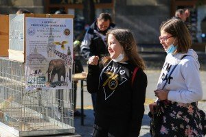 Izložba crteža povodom Svetskog dana životinja