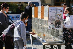 Izložba crteža povodom Svetskog dana životinja