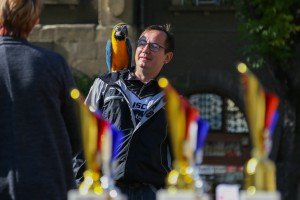 Izložba crteža povodom Svetskog dana životinja