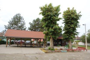 Polaganje venaca kod postamenta Jovanu Mikiću Spartaku