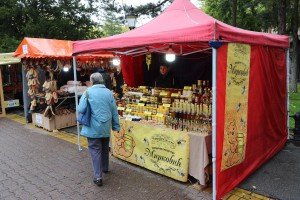 Vašar suhomesnatih proizvoda, sira, kolača, meda, rakije...