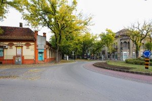 Unity fitness centar - vežbe za decu i odrasle
