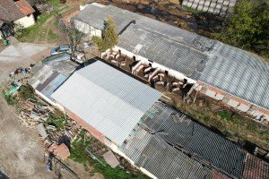 Građani Makove sedmice protiv farme svinja