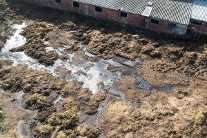 Građani Makove sedmice protiv farme svinja