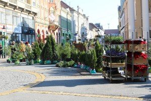 Cvetna pijaca na Trgu