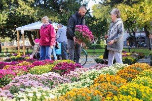 Jesenji sajam cveća “Garden Flora”