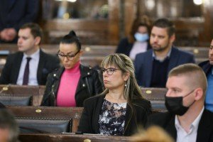 15. sednica Skupštine grada