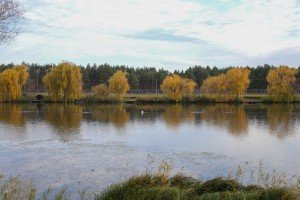 Obilazak šume povodom seče