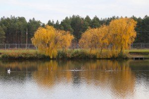 Obilazak šume povodom seče