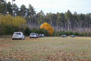 Obilazak šume povodom seče