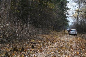 Obilazak šume povodom seče