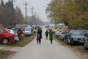 XIII Festival mlade rakije u Ljutovu