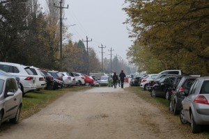 XIII Festival mlade rakije u Ljutovu