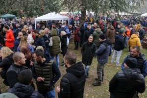 XIII Festival mlade rakije u Ljutovu