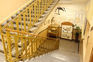 Uručenje uverenja o priznavanju prethodnog učenja