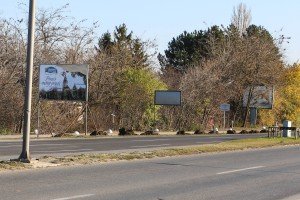 Pošumljavanje na Palićkom putu