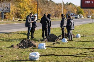 Pošumljavanje na Palićkom putu