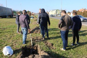 Pošumljavanje na Palićkom putu