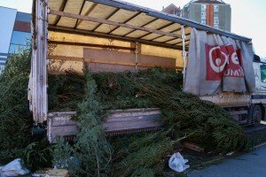 Prodaja ukrasnih (novogodišnjih) jelki na "Zelencu"