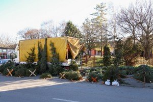 Prodaja ukrasnih (novogodišnjih) jelki na "Zelencu"