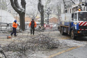 Orezivanje zaleđenih grana ispred svečanog ulaza Gradske kuće