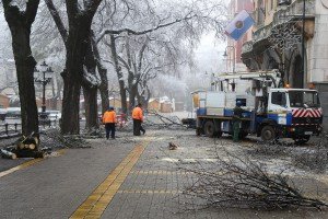 Orezivanje zaleđenih grana ispred svečanog ulaza Gradske kuće