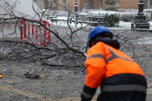Orezivanje zaleđenih grana ispred svečanog ulaza Gradske kuće