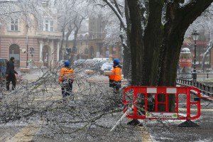 Orezivanje zaleđenih grana ispred svečanog ulaza Gradske kuće