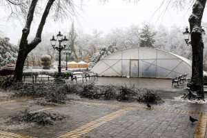 Novi MAN autobus u voznom parku Subotica-transa