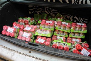 Udruženje "Anđeli severa" doniralo kašastu hranu za decu "Kolevke"