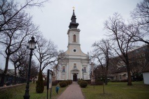 Organizovani polazak na seču badnjaka u šumu na Makovoj sedmici