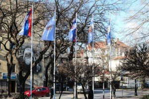 Razgovor sa dr Verom Kovačević povodom Evropske nedelje borbe protiv raka grlića materice