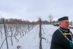 Obeležavanje Dana svetog Vinka