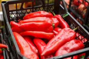 Akcija prikupljanja i podele hrane i namirnica za socijalno ugrožene