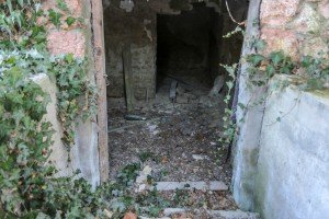 Konen Vilim (Titova) vila na Paliću