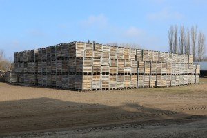 Poseta poljoprivrednom gazdinstvu u Gornjem Tavankutu