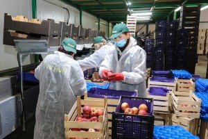 Poseta poljoprivrednom gazdinstvu u Gornjem Tavankutu