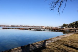 Izlov invazivne ribe u Palićkom jezeru