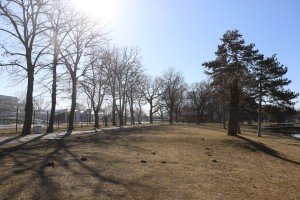 Izlov invazivne ribe u Palićkom jezeru