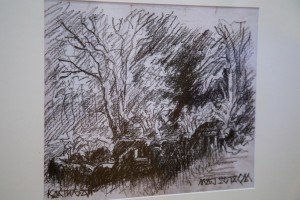 Svečano otvaranje Nedelje pravoslavlja