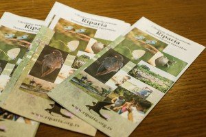 Obeležavanje početka projekta "Upoznaj i sačuvaj – Ptičji svet i zaštićena područja"