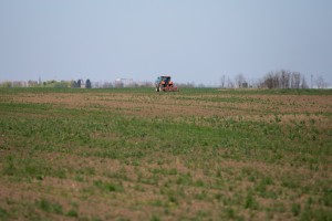 Razgovor povodom početka setve