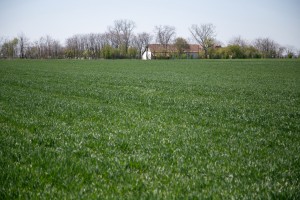 Razgovor povodom početka setve