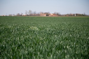Razgovor povodom početka setve