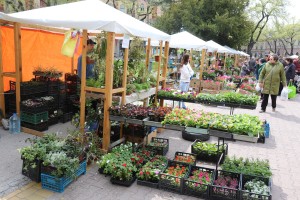 Sajam cveća "Garden flora 2022"