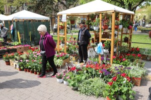 Sajam cveća "Garden flora 2022"
