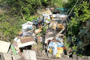 Divlja deponija pored kuća (Ilirska, MZ Dudova šuma)